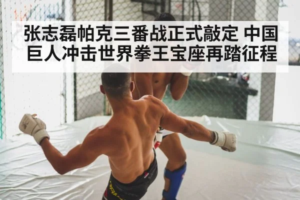 boxing fight